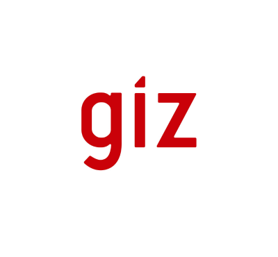 GIZ DH Members Logo